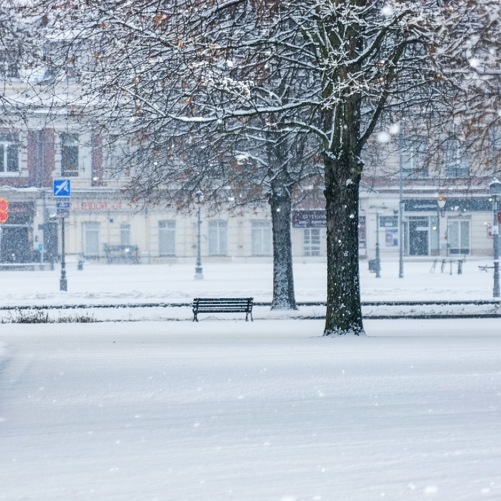 sneeuw